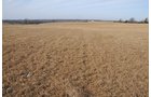 Property photo 128 - 745 Acres Offered in 16 Tracts