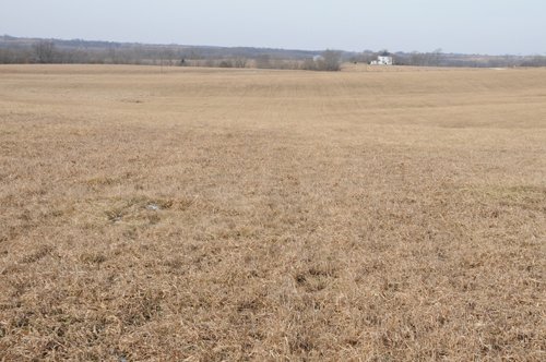 Property photo 51 - 745 Acres Offered in 16 Tracts