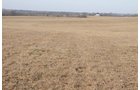 Property photo 51 - 745 Acres Offered in 16 Tracts