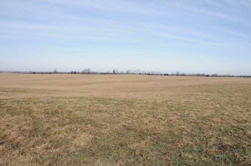 Property photo 60 - 745 Acres Offered in 16 Tracts
