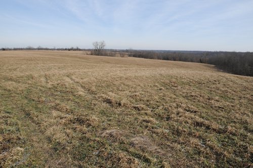 Property photo 89 - 745 Acres Offered in 16 Tracts