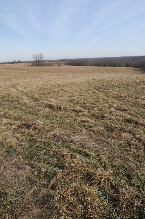 Property photo 74 - 745 Acres Offered in 16 Tracts