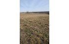 Property photo 74 - 745 Acres Offered in 16 Tracts