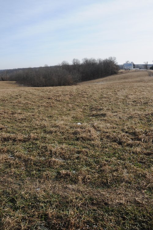 Property photo 181 - 745 Acres Offered in 16 Tracts