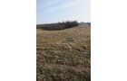 Property photo 181 - 745 Acres Offered in 16 Tracts