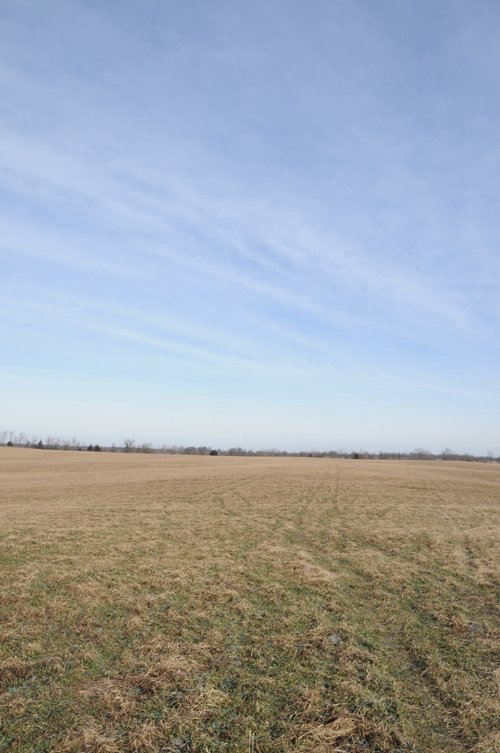 Property photo 78 - 745 Acres Offered in 16 Tracts