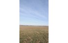 Property photo 78 - 745 Acres Offered in 16 Tracts