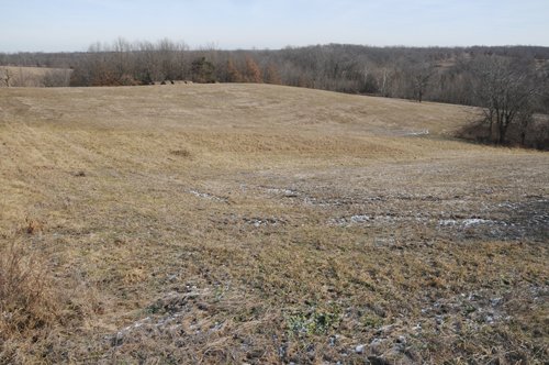Property photo 172 - 745 Acres Offered in 16 Tracts