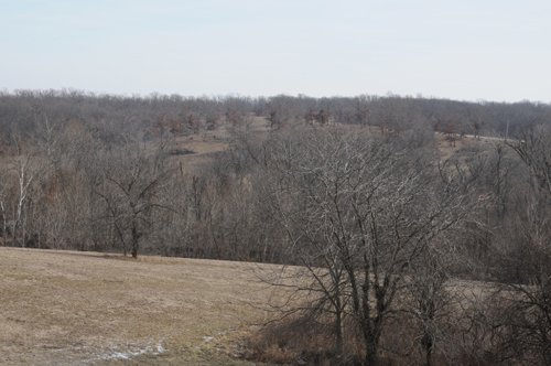 Property photo 147 - 745 Acres Offered in 16 Tracts