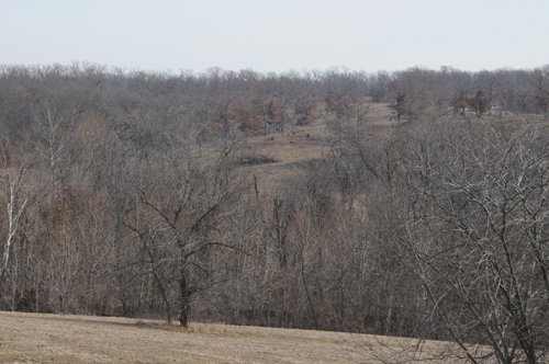 Property photo 195 - 745 Acres Offered in 16 Tracts