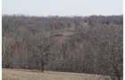 Property photo 195 - 745 Acres Offered in 16 Tracts