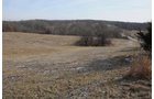 Property photo 215 - 745 Acres Offered in 16 Tracts