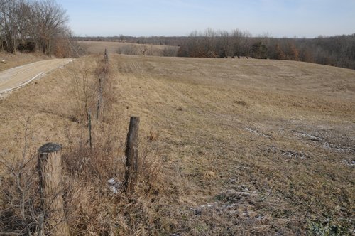 Property photo 26 - 745 Acres Offered in 16 Tracts