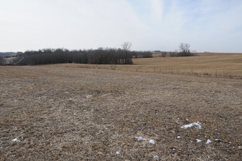 Property photo 207 - 745 Acres Offered in 16 Tracts