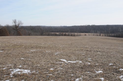 Property photo 106 - 745 Acres Offered in 16 Tracts