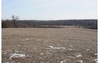 Property photo 106 - 745 Acres Offered in 16 Tracts