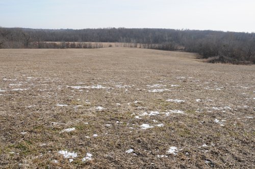 Property photo 112 - 745 Acres Offered in 16 Tracts