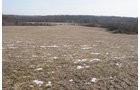 Property photo 112 - 745 Acres Offered in 16 Tracts