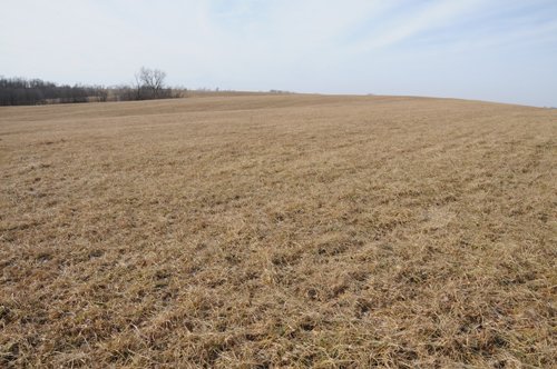 Property photo 100 - 745 Acres Offered in 16 Tracts