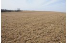 Property photo 100 - 745 Acres Offered in 16 Tracts