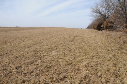 Property photo 45 - 745 Acres Offered in 16 Tracts