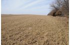 Property photo 45 - 745 Acres Offered in 16 Tracts