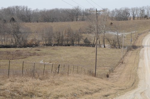 Property photo 177 - 745 Acres Offered in 16 Tracts