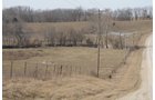 Property photo 177 - 745 Acres Offered in 16 Tracts