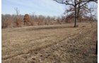 Property photo 57 - 745 Acres Offered in 16 Tracts