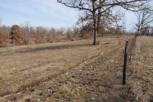 Property photo 101 - 745 Acres Offered in 16 Tracts