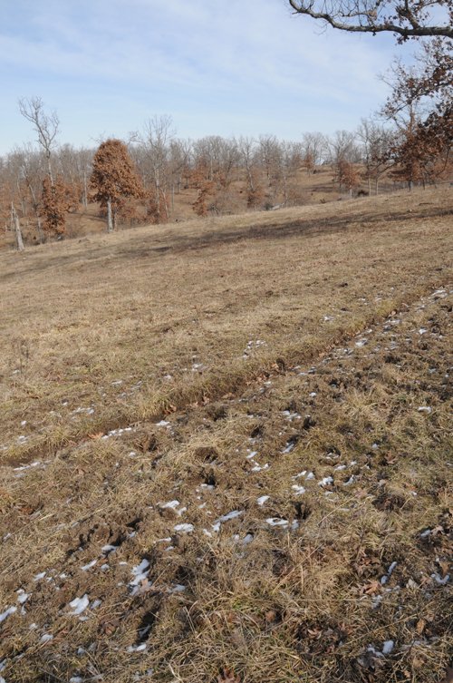 Property photo 171 - 745 Acres Offered in 16 Tracts
