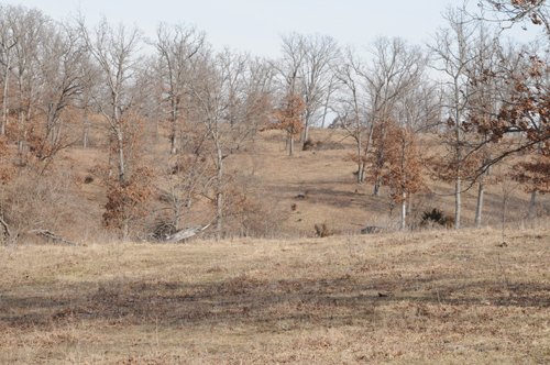 Property photo 216 - 745 Acres Offered in 16 Tracts