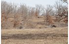 Property photo 216 - 745 Acres Offered in 16 Tracts