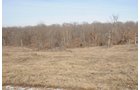 Property photo 141 - 745 Acres Offered in 16 Tracts