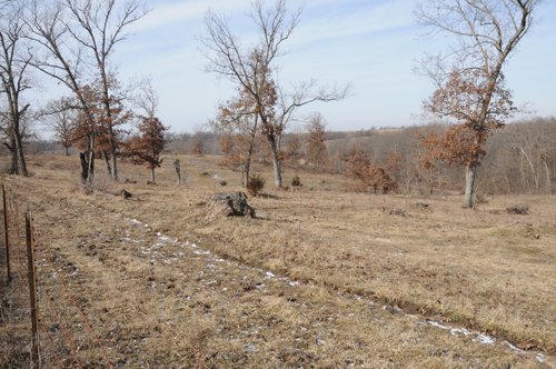 Property photo 36 - 745 Acres Offered in 16 Tracts