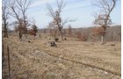 Property photo 36 - 745 Acres Offered in 16 Tracts