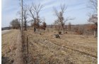 Property photo 17 - 745 Acres Offered in 16 Tracts