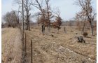 Property photo 176 - 745 Acres Offered in 16 Tracts