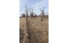 Property photo 206 - 745 Acres Offered in 16 Tracts
