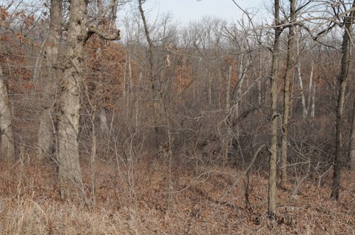 Property photo 20 - 745 Acres Offered in 16 Tracts