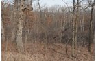 Property photo 20 - 745 Acres Offered in 16 Tracts