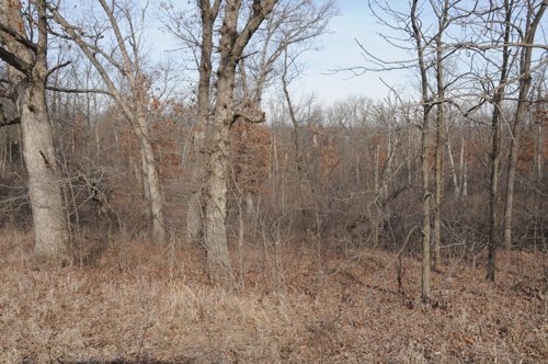 Property photo 79 - 745 Acres Offered in 16 Tracts