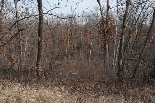 Property photo 126 - 745 Acres Offered in 16 Tracts