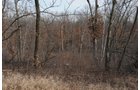 Property photo 126 - 745 Acres Offered in 16 Tracts