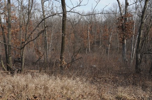 Property photo 49 - 745 Acres Offered in 16 Tracts