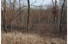 Property photo 49 - 745 Acres Offered in 16 Tracts