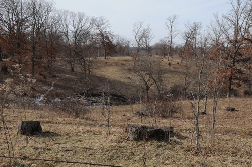 Property photo 165 - 745 Acres Offered in 16 Tracts