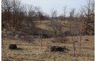 Property photo 165 - 745 Acres Offered in 16 Tracts