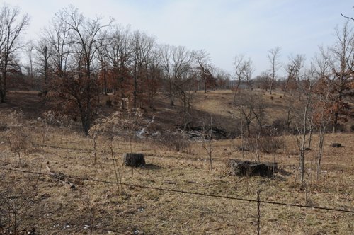 Property photo 59 - 745 Acres Offered in 16 Tracts