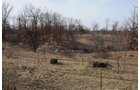 Property photo 59 - 745 Acres Offered in 16 Tracts